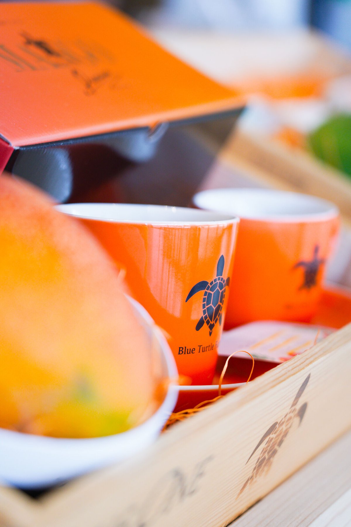 Blue Turtle Farm オリジナルカップ＆ソーサーSET 鮮やかオレンジ | Blu