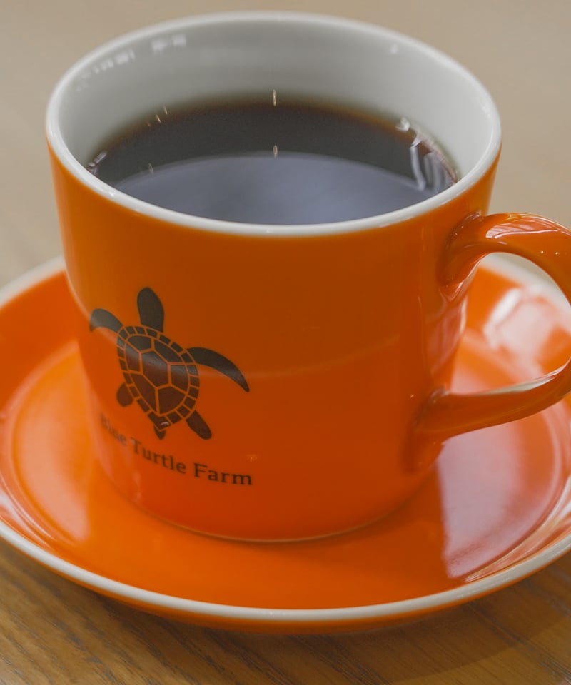 Blue Turtle Farm オリジナルカップ＆ソーサーSET 鮮やかオレンジ | Blu