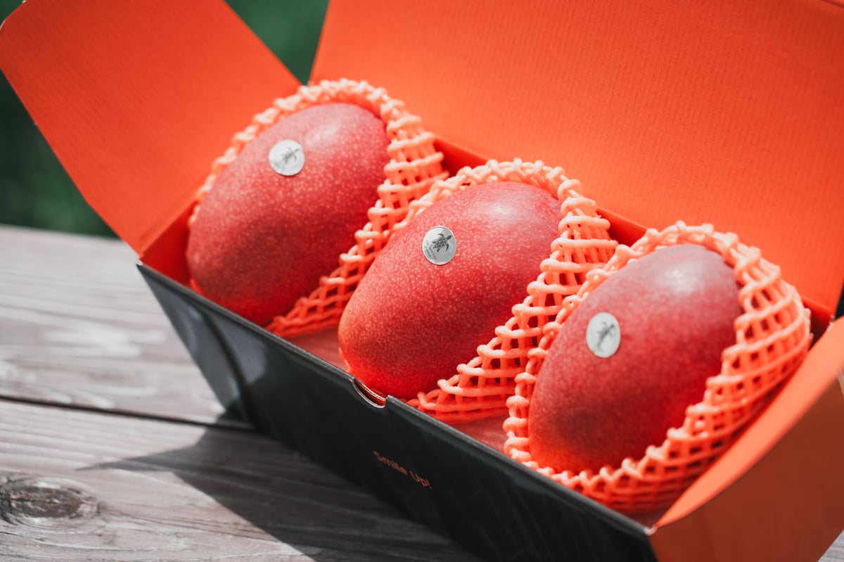 青マンゴー (ナムドクマイ) 箱込み20キロ 楽天市場】ナムドクマイの通販