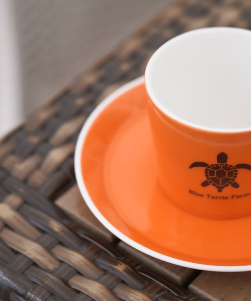 Blue Turtle Farm オリジナルマグカップ＆ソーサーSET 鮮やかオレンジ
