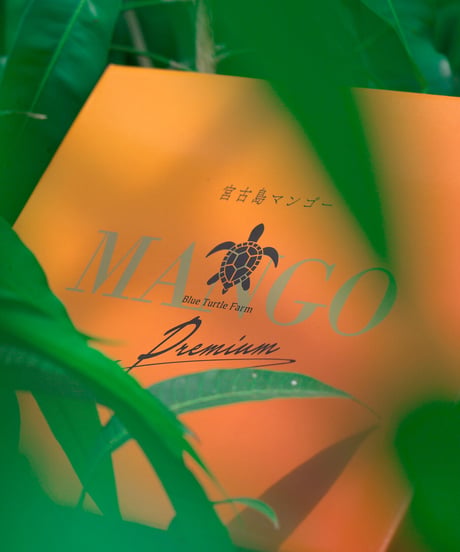 宮古島産「完熟マンゴー」2kg
