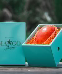 宮古島産「巨果・幻のキーツマンゴー」2玉 | Blue Turtle Farm