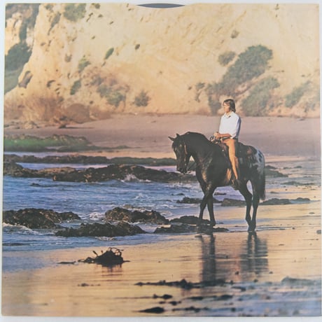 輸入盤　ジョン・テンバー/Windsong　APL1-1183　【中古】