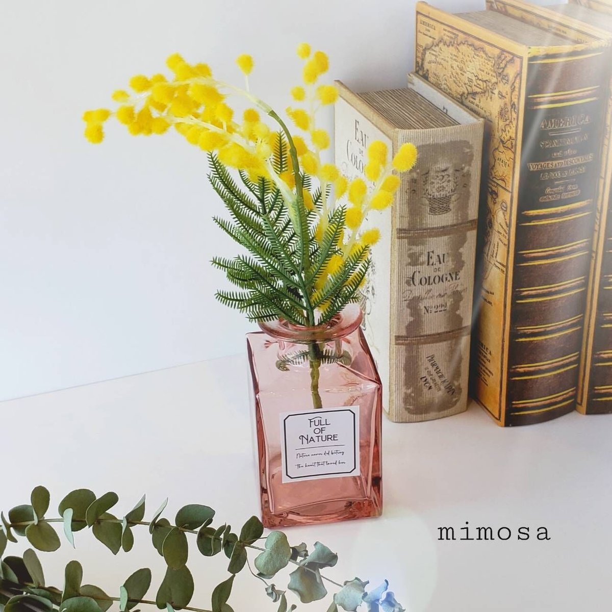 ドーム Daum ミモザ　花瓶  未使用品 ミモザのドラフラワーとクリアベース Dry & clearvas | hues
