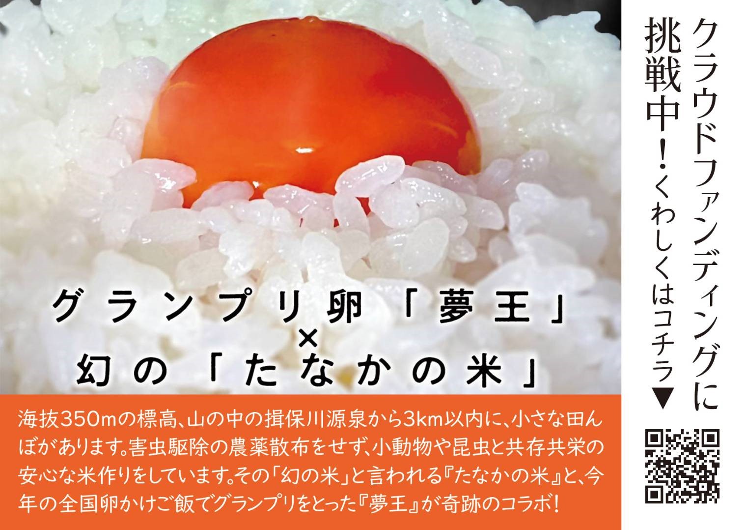BUDDIESからのお知らせ