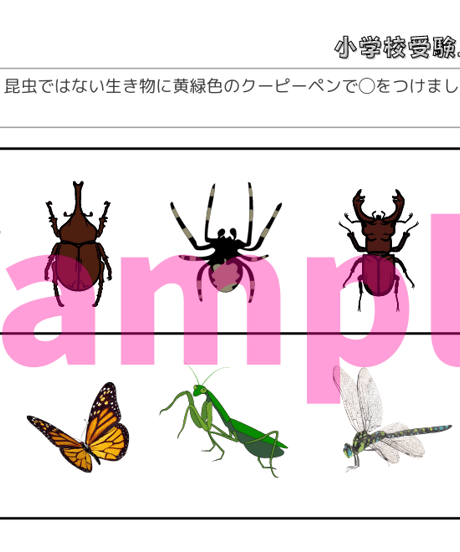 【小学校受験三つ星ドリル】「仲間分け・仲間探し 基礎・応用編」