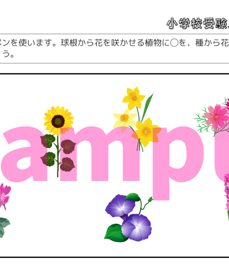 小学校受験三つ星ドリル】「仲間分け・仲間探し 基礎・応用編
