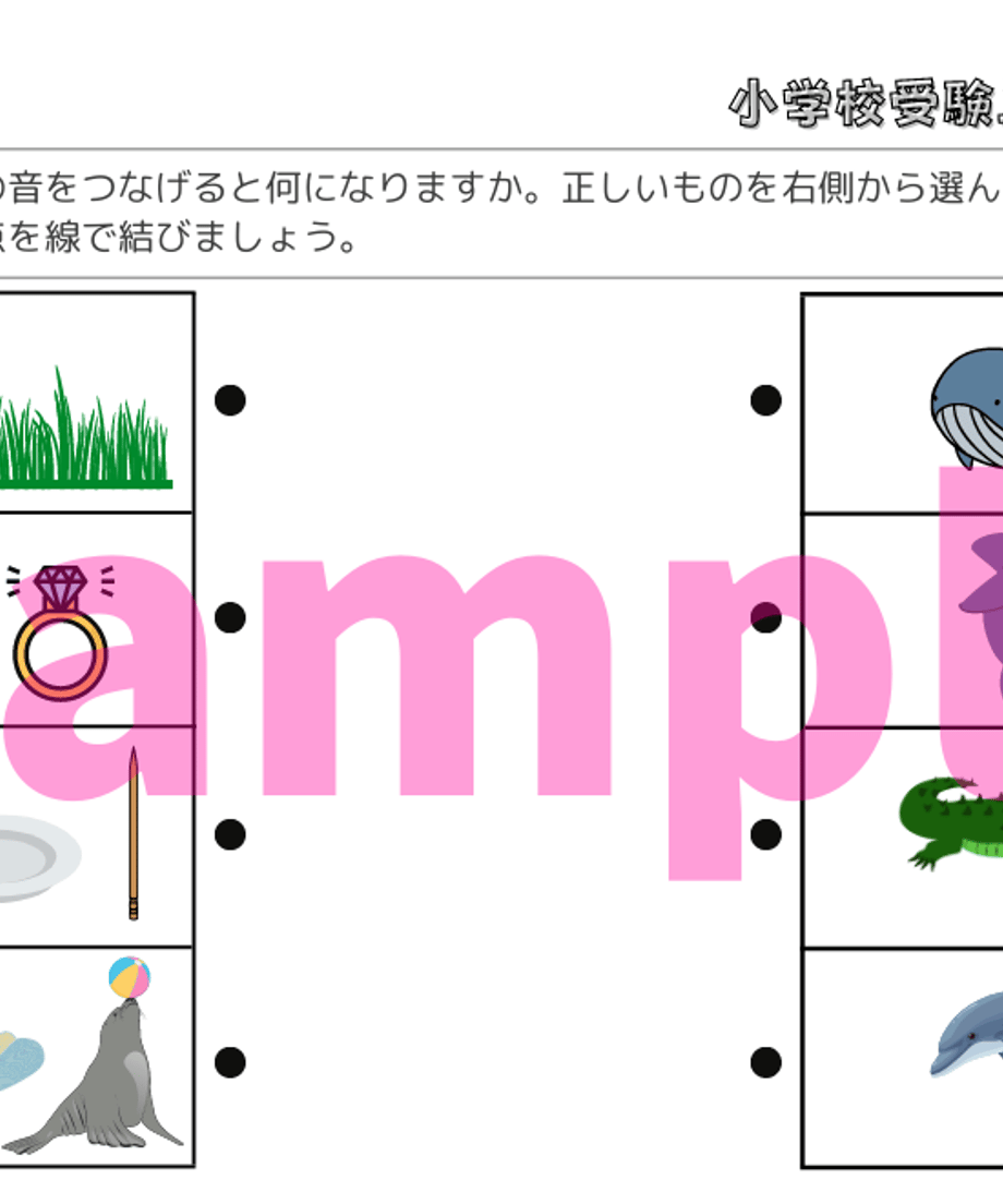 62d953afe50c0b662a4236a0