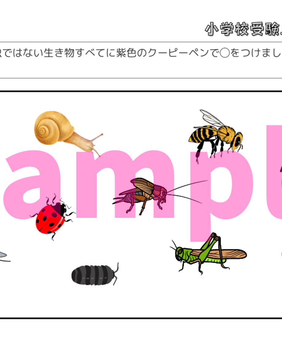 63eb725793f6196c21ee5358