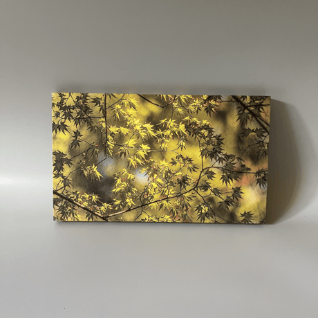 Washi Art Panel (Photo) 32×19