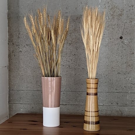 saltさま専用 Salt-Shark Marine Combo Pack | Smack Marine