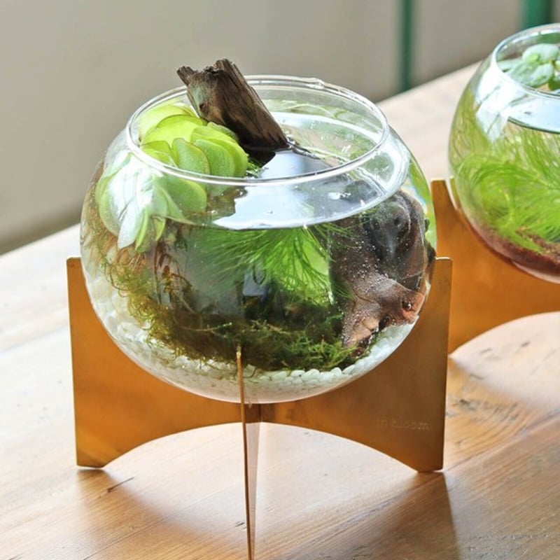 ガラスドームベース | SALT(ソルト)公式インテリアオンラインショップ