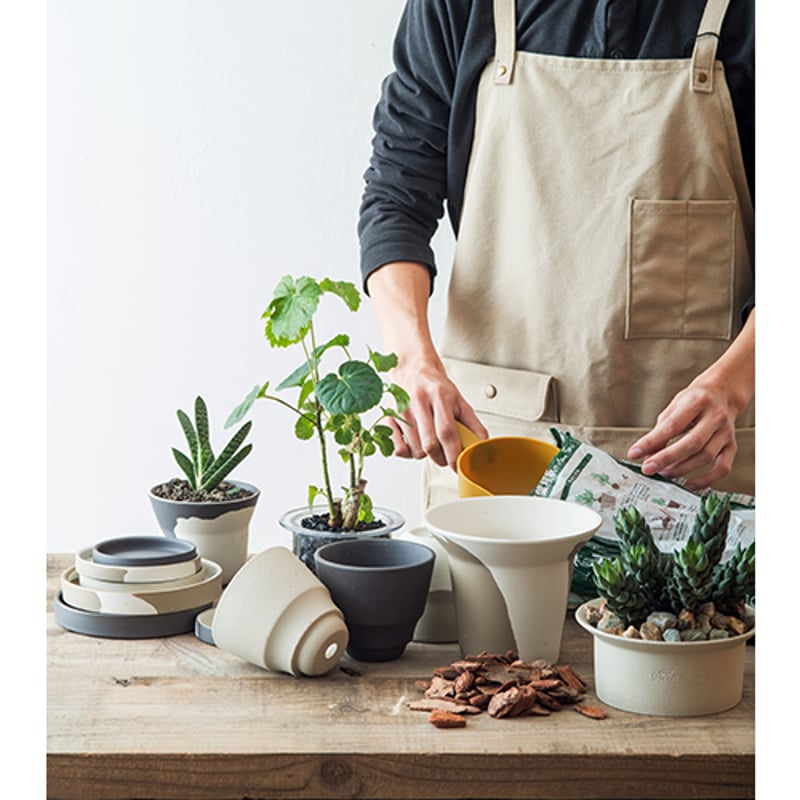ダイエットフード tea  PLANET Amazon.com : SkinnyBoost 28 Day Detox Daytime Tea - CITRUS