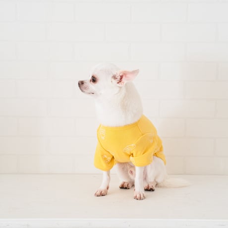 petme ミルク柄トレーナー yellow / blue