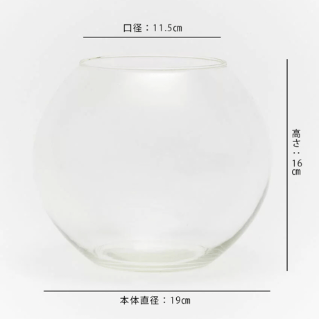 リューズガラス プラントドーム