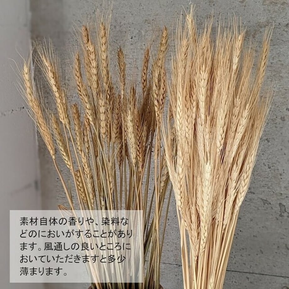 686f70ac9b0fd538d3925452