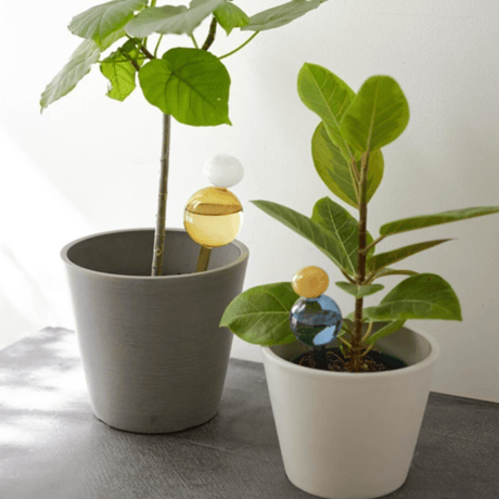 gardening ガラスディスペンサー
