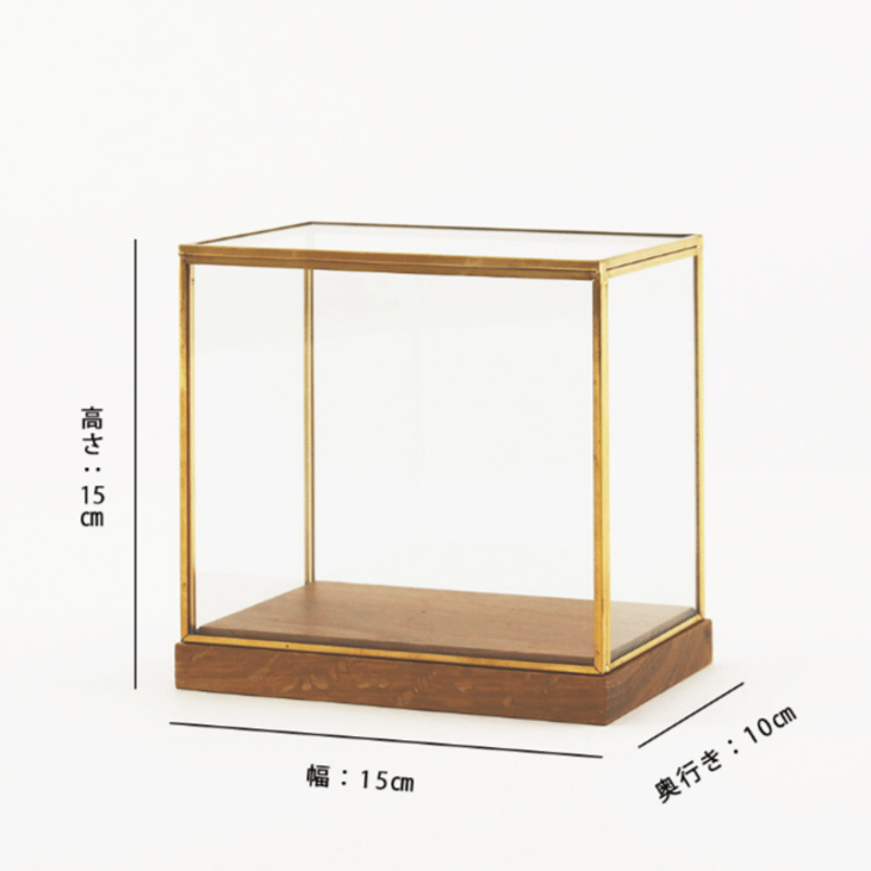 真鍮 ブラスフレーム ディスプレイBOX | SALT(ソルト)公式インテリア