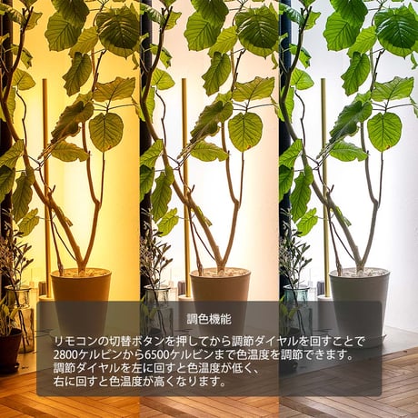 neo maux バーライト