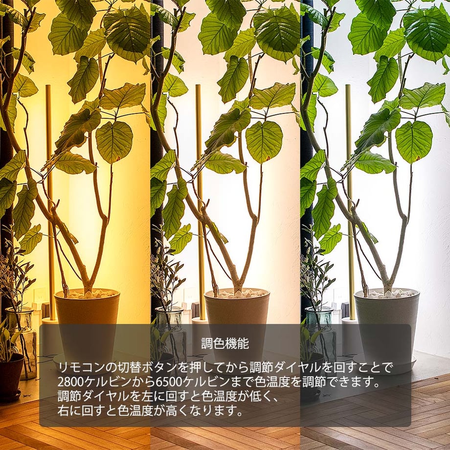 680f1c59a7f9cb5fa80732a3