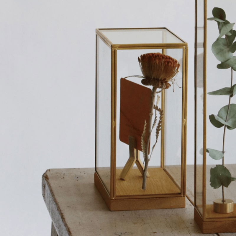 真鍮 ブラスフレーム ディスプレイBOX | SALT(ソルト)公式インテリア