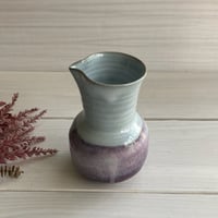 藤色注器