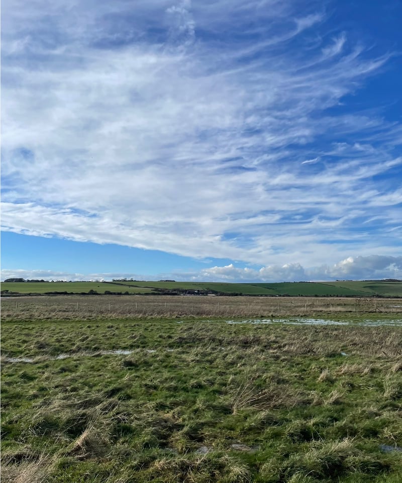 Kazuki Usami/ポストカード | awesome_today