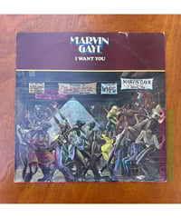 GEZAN with Million Wish Collective / i ai e.p.