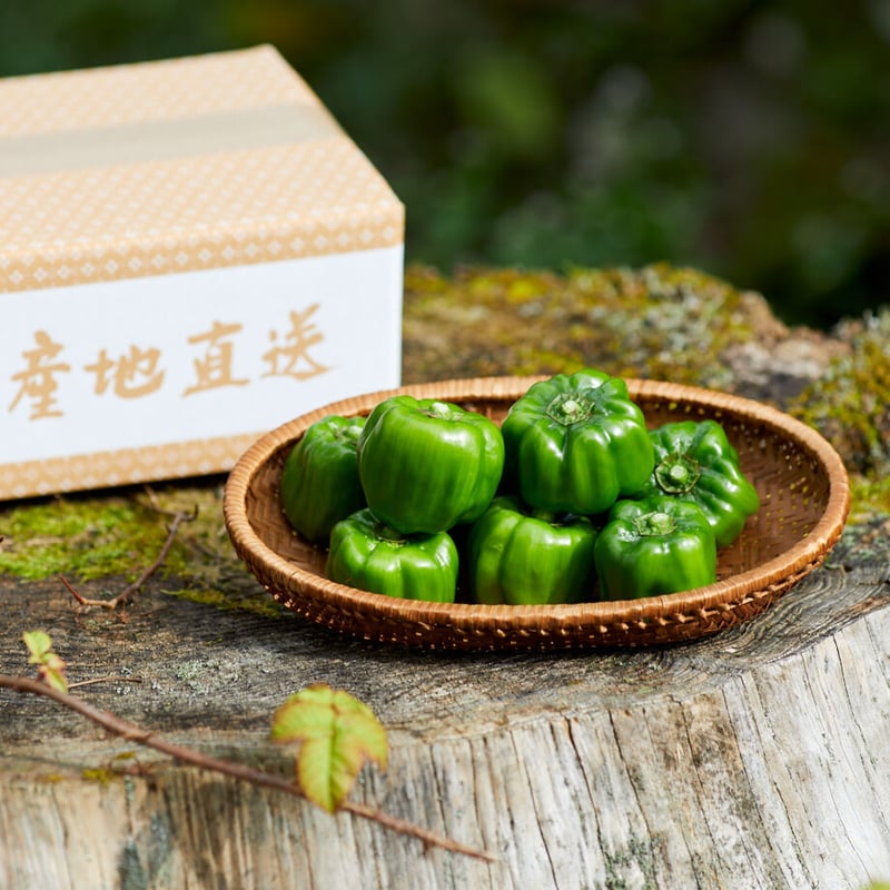 巻機なんばん味噌〈ビン〉とかぐら南蛮のセット | MAKIHATA KOUBOU