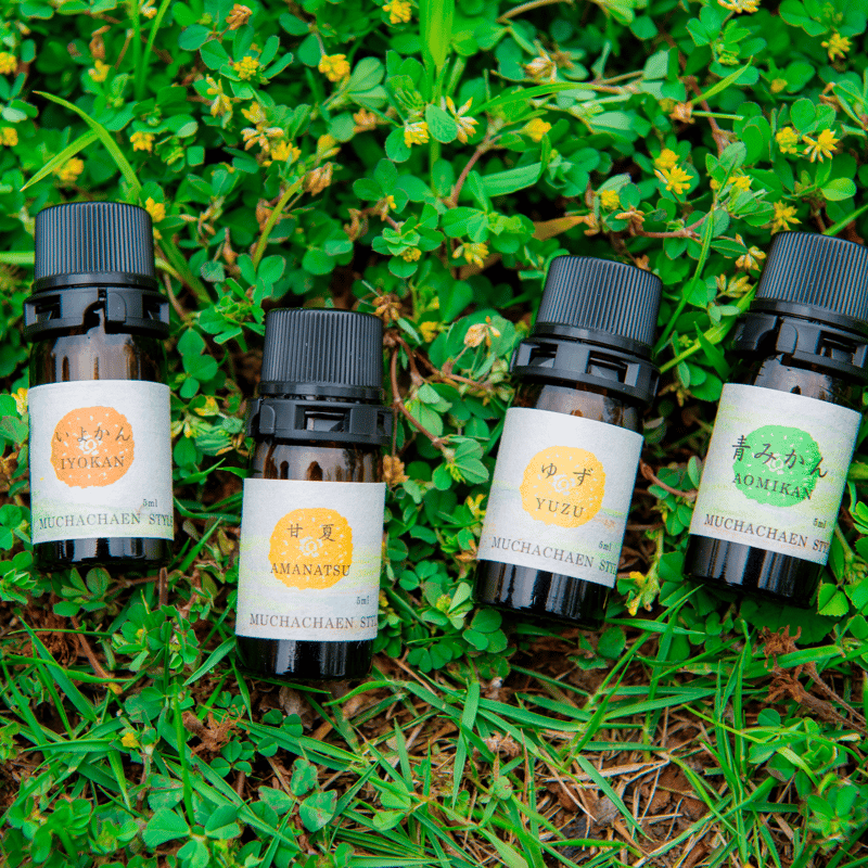 和精油メーカー無茶々園（愛媛県西伊予）：青みかん5ml | 和精油専門店