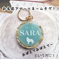 【ペット】お名前アピールネームタグ(大)