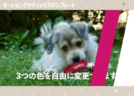 ライン付き四角形トランジション【モーショングラフィックステンプレート】