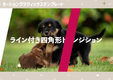 ライン付き四角形トランジション【モーショングラフィックステンプレート】