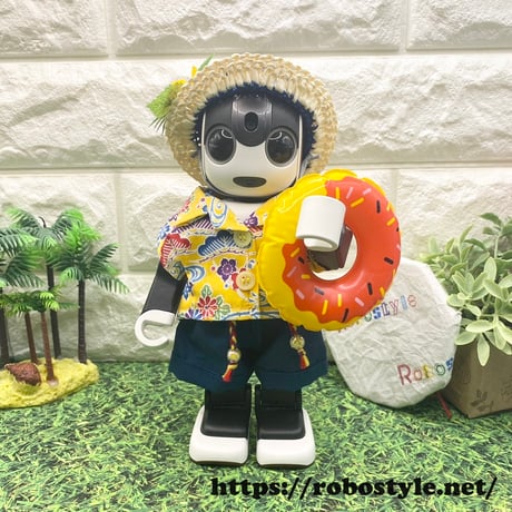 CAMARO出品　ロボホンのキャリーポーチと麦わら帽子２セット CAMARO出品 ロボホンのキャリーポーチと麦わら帽子2セット 2025