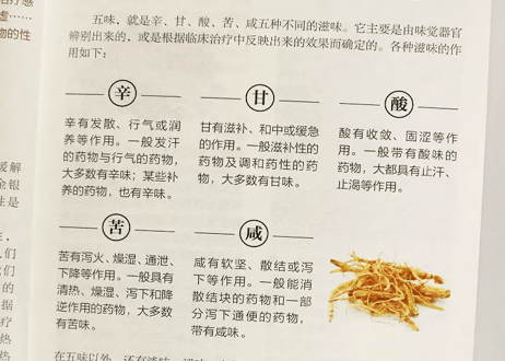 【漢方薬・解説本】中药方剂轻图典  　※ソフトカバー版