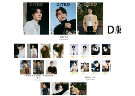 ◆完売致しました(再入荷なし)◆【赵柯淳】 呈仕CITER pulse　D版 　≪カード15枚＆ポストカード3枚付き≫