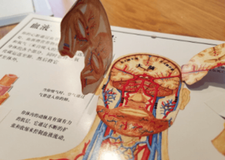 【人体図鑑】人体絵本(めくるしかけ図鑑)　大型