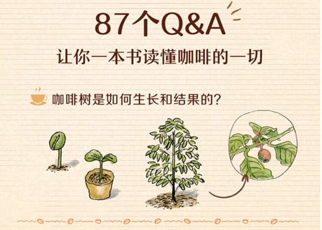 【イラスト付き解説本】你不懂咖啡（コーヒー「こつ」の科学）　著者：石脇智広