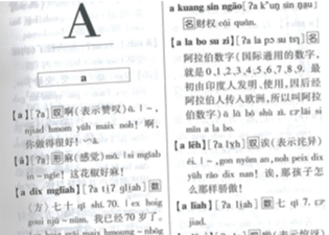 【辞典】中国雲南省方言　『佤汉大词典』