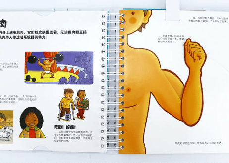 【BEILING(贝灵)】からだの不思議が学べる（中国語）※しかけをめくったりひっぱったりさわってみたり楽しい教材※別売りの【BEILING(贝灵)】タッチペンでお話がきけます【紹介動画有👆】
