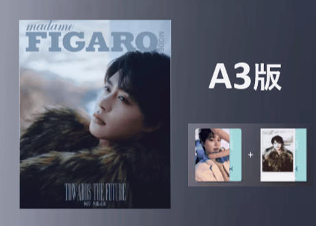 【柯淳】费加罗 Madame FIGARO MODE 2025年2月