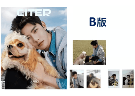 【代高政】呈仕CITERpulse  ≪特典付き≫