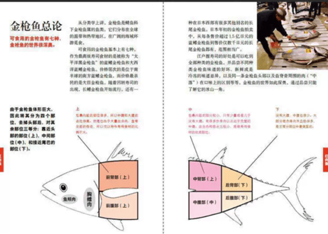 寿司食材图鉴