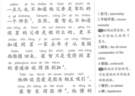 Graded Chinese Reader 3000 Words (HSK Level５)　汉语分级阅读 3000词　新汉语水平考试HSK5级阅读 (HSK5級レベル）