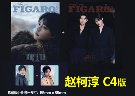 【赵柯淳・马小宇】费加罗 Madame FIGARO MODE 2025年2月