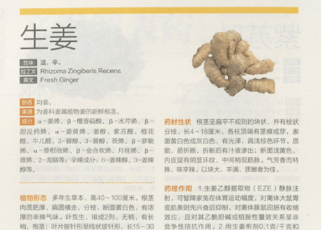 【漢方薬・専門書】中草药全图鉴
