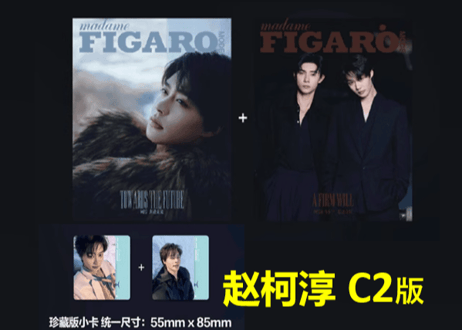 【赵柯淳・马小宇】费加罗 Madame FIGARO MODE 2025年2月