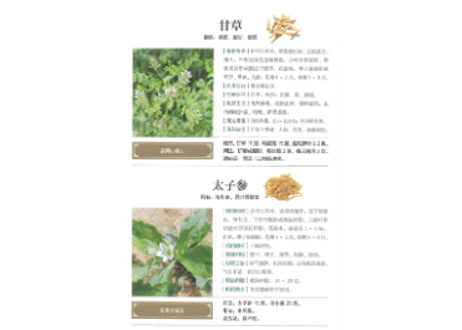 【漢方薬・解説本】中药材百科