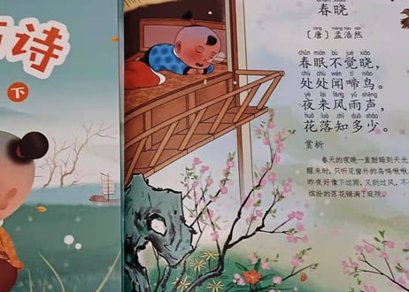 【BEILING(贝灵)】おしゃべりくまさんタッチペンとスペシャル学習セット 【2カ国語(中・英 )】ネイティブの発音で単語・ものがたり・歌他、盛りだくさんな教材で親子で楽しめます。プレゼントに🎁