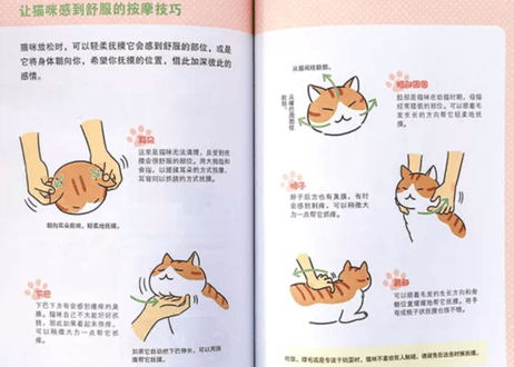 【イラスト解説本】猫咪不是故意的  (猫ゴコロ  気持ちが分かればにゃんと幸せ! )